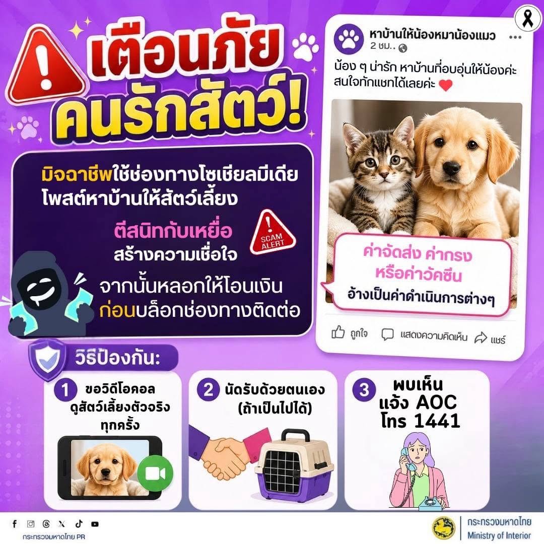 🐶🐱 เตือนภัยคนรักสัตว์! ระวังมิจฉาชีพใช้ช่องทางโซเชียลมีเดีย โพสต์หาบ้านให้สัตว์เลี้ยง 